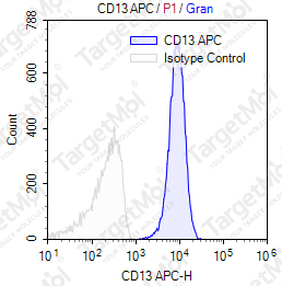 Anti-CD13 Antibody-APC (22A5)