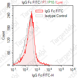 Anti-IgG Fc Antibody-FITC (HP6043)