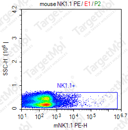 Anti-NK1.1 Antibody-PE (PK136)