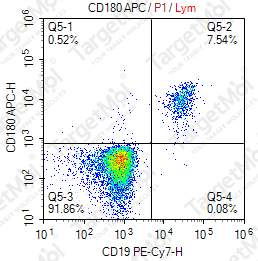 Anti-CD180 Antibody-APC (G28-8)