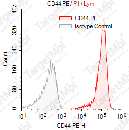 Anti-CD44 Antibody-PE (IM7)
