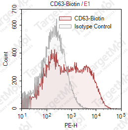 Anti-CD63 Antibody-Biotin (H5C6)