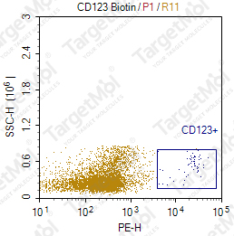 Anti-CD123 Antibody-Biotin (6H6)
