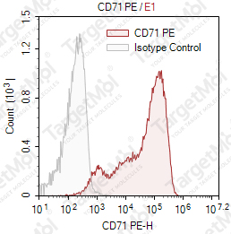 Anti-CD71 Antibody-PE (T56/14)
