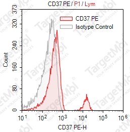 Anti-CD37 Antibody-PE (IPO-24)