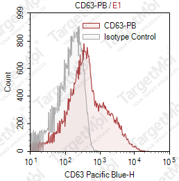 Anti-CD63 Antibody-Pacific Blue (H5C6)