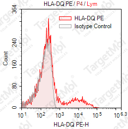 Anti-HLA-DQ (MHC Class II) Antibody-PE (1a3)
