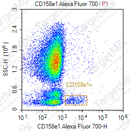 Anti-CD158e1 Antibody-AF700 (DX9)