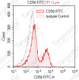 Anti-CD56 Antibody-FITC (MEM188)