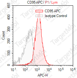 Anti-CD95 Antibody-APC (DX2)