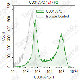 Anti-CD34 Antibody-APC (4H11)
