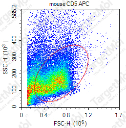 Anti-CD5 Antibody-APC (B19.1)