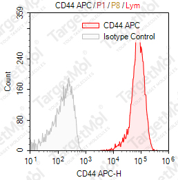 Anti-CD44 Antibody-APC (P2A1)