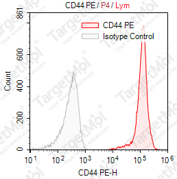 Anti-CD44 Antibody-PE (P2A1)