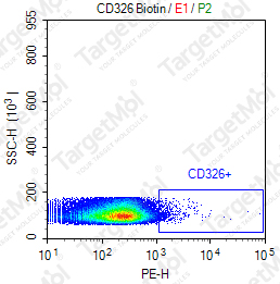 Anti-CD326 Antibody-Biotin (G8.8)