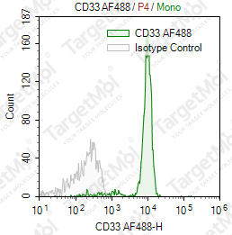 Anti-CD33 Antibody-AF488 (WM53)