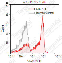 Anti-CD27 Antibody-PE (O323)
