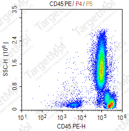 Anti-CD45 Antibody-PE (9.4)