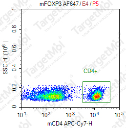 Anti-FOXP3 Antibody-PE (3G3)