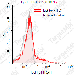 Anti-IgG Fc Antibody-FITC (H-2)