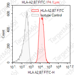 Anti-HLA A2, B7 (MHC Class I) Antibody-FITC (BB7.6)