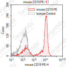 Anti-CD19 Antibody-PE (1D3)