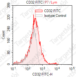 Anti-CD32 Antibody-FITC (IV-3)