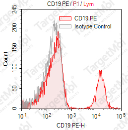 Anti-CD19 Antibody-PE (SJ25-C1)