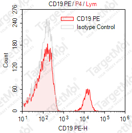Anti-CD19 Antibody-PE (CB19)