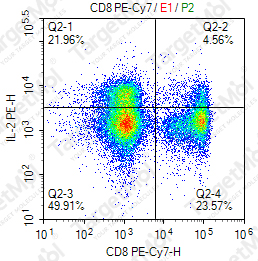 Anti-IL-2 Antibody-PE (1F7)