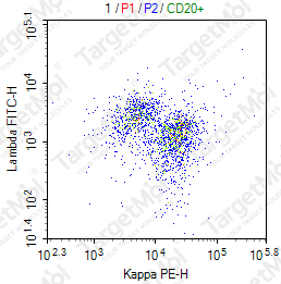 Anti-Kappa Antibody-PE (L1C1)
