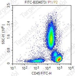 Anti-CD45 Antibody-FITC (HI30)