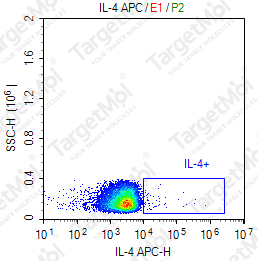 Anti-IL-4 Antibody-APC (MP4-25D2)