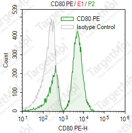 Anti-CD80 Antibody-PE (2D10.4)
