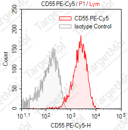 Anti-CD55 Antibody-PE-Cy5 (67)