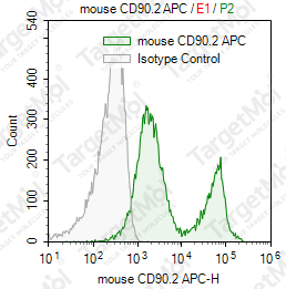 Anti-CD90.2 Antibody-APC (30-H12)