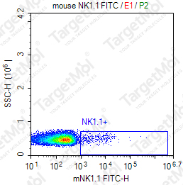 Anti-NK1.1 Antibody-FITC (PK136)