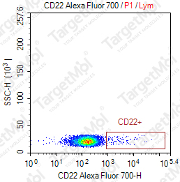 Anti-CD22 Antibody-AF700 (HIB22)