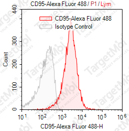 Anti-CD95 Antibody-AF488 (DX2)