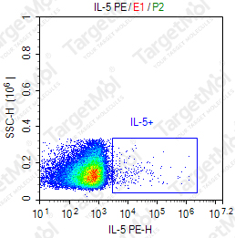Anti-IL-5 Antibody-PE (TRFK5)