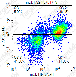 Anti-CD172a Antibody-PE (P84)