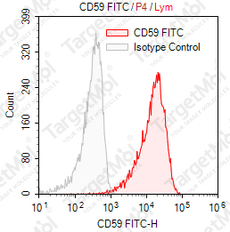 Anti-CD59 Antibody-FITC (OV9A2)