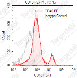 Anti-CD40 Antibody-PE (3A8)