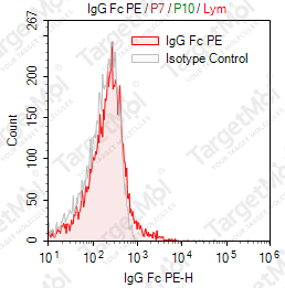 Anti-IgG Fc Antibody-PE (H-2)