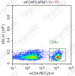 Anti-FOXP3 Antibody-AF647 (SB168a)