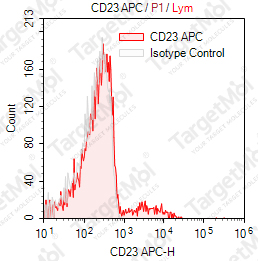 Anti-CD23 Antibody-APC (EBVCS-5)