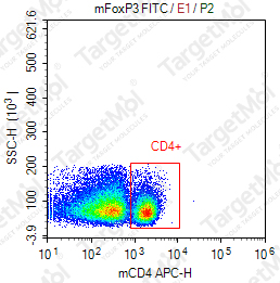 Anti-FOXP3 Antibody-FITC (3G3)