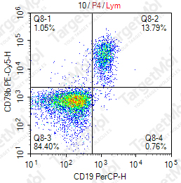 Anti-CD79b Antibody-PE-Cy5 (CB3-1)