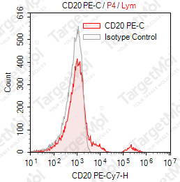 Anti-CD20 Antibody-PE-Cy7 (2H7)