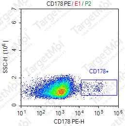 Anti-CD178 Antibody-PE (NOK-1)